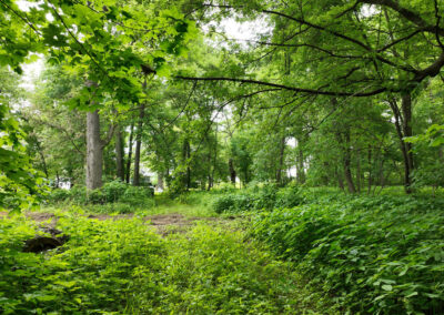 5 Wooded Acres for Sale in Butler County, Iowa