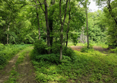 5 Wooded Acres for Sale in Butler County, Iowa