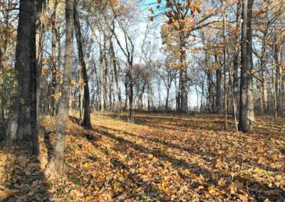 5 acres of land for sale in Butler County, Iowa