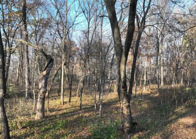 5 acres of land for sale in Butler County, Iowa