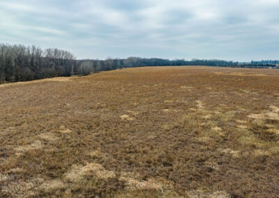 76 Acres of Hunting Land for Sale in Butler County, Iowa