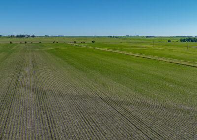 79 Acres of Land for Sale in Tama County, Iowa - LIVE Land Auction on July 16, 2024