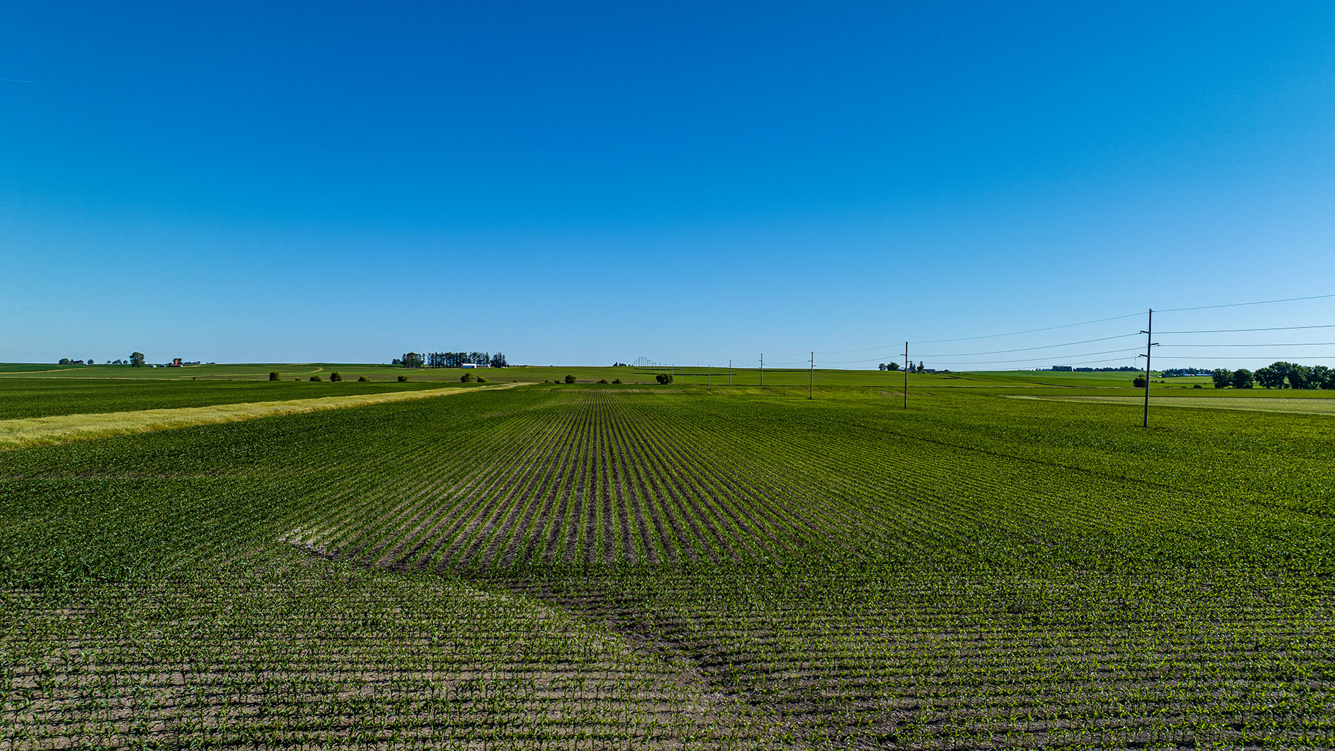 79 Acres of Land for Sale in Tama County, Iowa - LIVE Land Auction on July 16, 2024