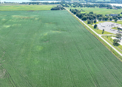 Live Land Auction: 213 Acres of Land for Sale in Palo Alto County, Iowa