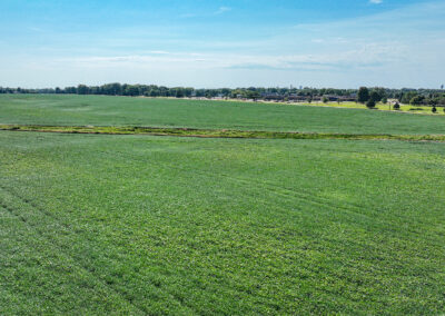 Live Land Auction: 213 Acres of Land for Sale in Palo Alto County, Iowa