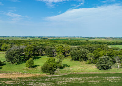 Live Land Auction: 213 Acres of Land for Sale in Palo Alto County, Iowa