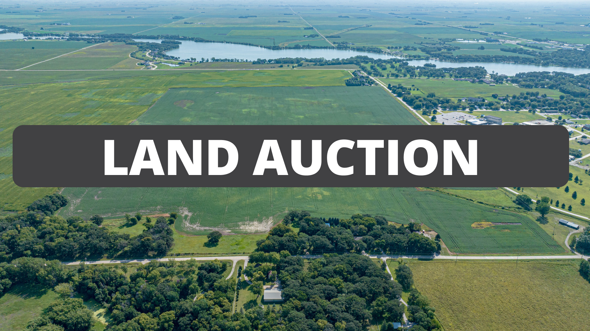 Live Land Auction: 213 Acres of Land for Sale in Palo Alto County, Iowa