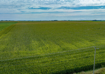 Land Auction, 82 Acres in Grundy County, Iowa