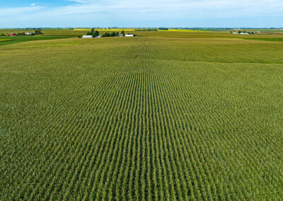 Land Auction, 82 Acres in Grundy County, Iowa