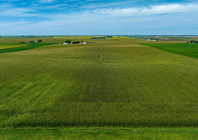 Land Auction, 82 Acres in Grundy County, Iowa