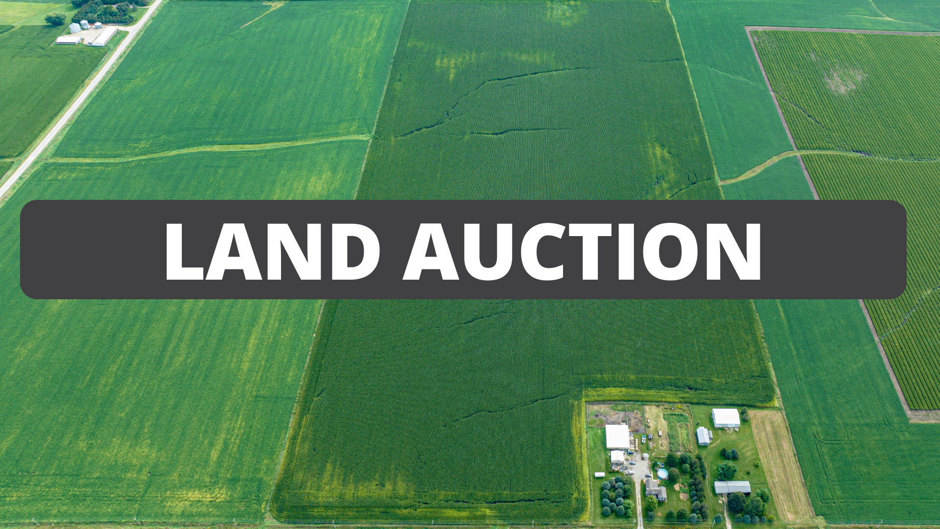 Land Auction, 82 Acres in Grundy County, Iowa