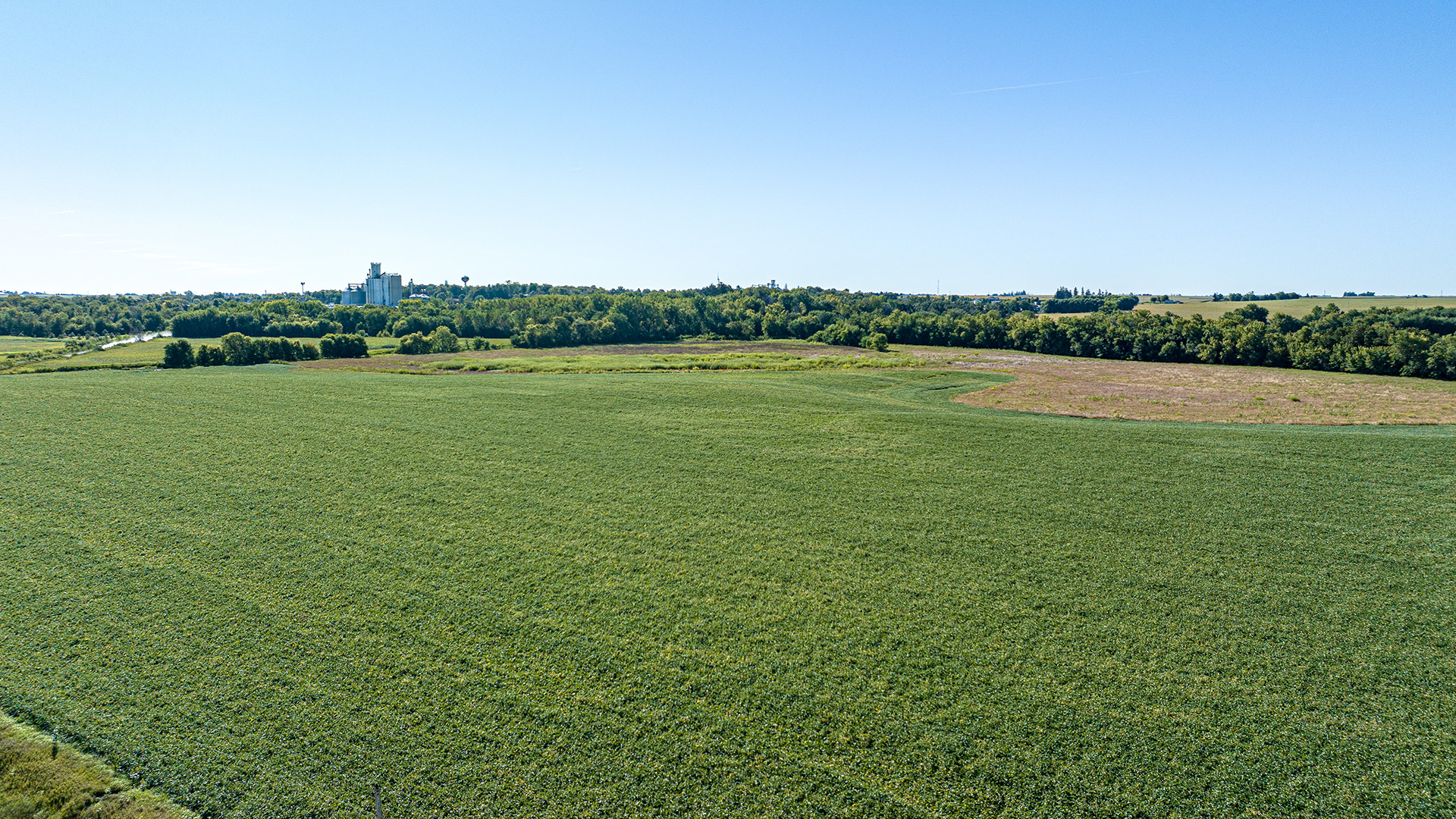 83 Acres of Farmland for Sale in Tama County, Iowa