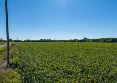 83 Acres of Farmland for Sale in Tama County, Iowa