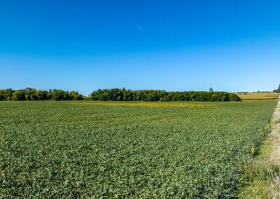 83 Acres of Farmland for Sale in Tama County, Iowa