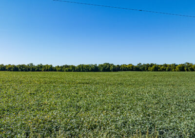 83 Acres of Farmland for Sale in Tama County, Iowa