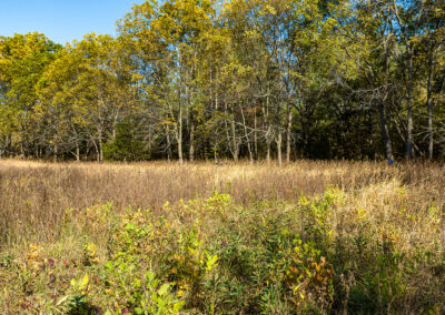 8052 Buck Ridge Road: 13 Acres of Land for Sale in Black Hawk County, Iowa