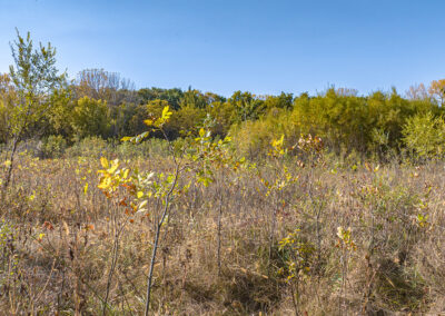 8052 Buck Ridge Road: 13 Acres of Land for Sale in Black Hawk County, Iowa