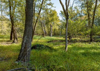 8052 Buck Ridge Road: 13 Acres of Land for Sale in Black Hawk County, Iowa