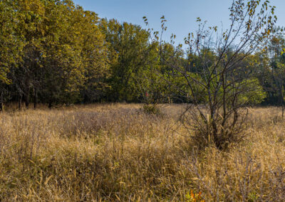 8052 Buck Ridge Road: 13 Acres of Land for Sale in Black Hawk County, Iowa