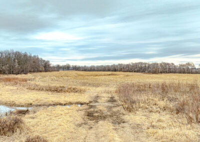 305 Acres of Land for Sale in Butler County, Iowa