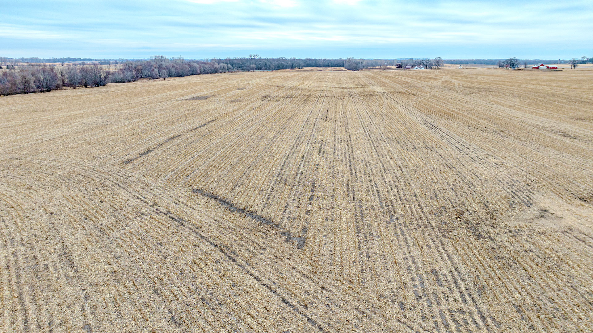 305 Acres of Land for Sale in Butler County, Iowa