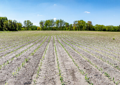 38 Acres of Land for Sale in Black Hawk County Iowa