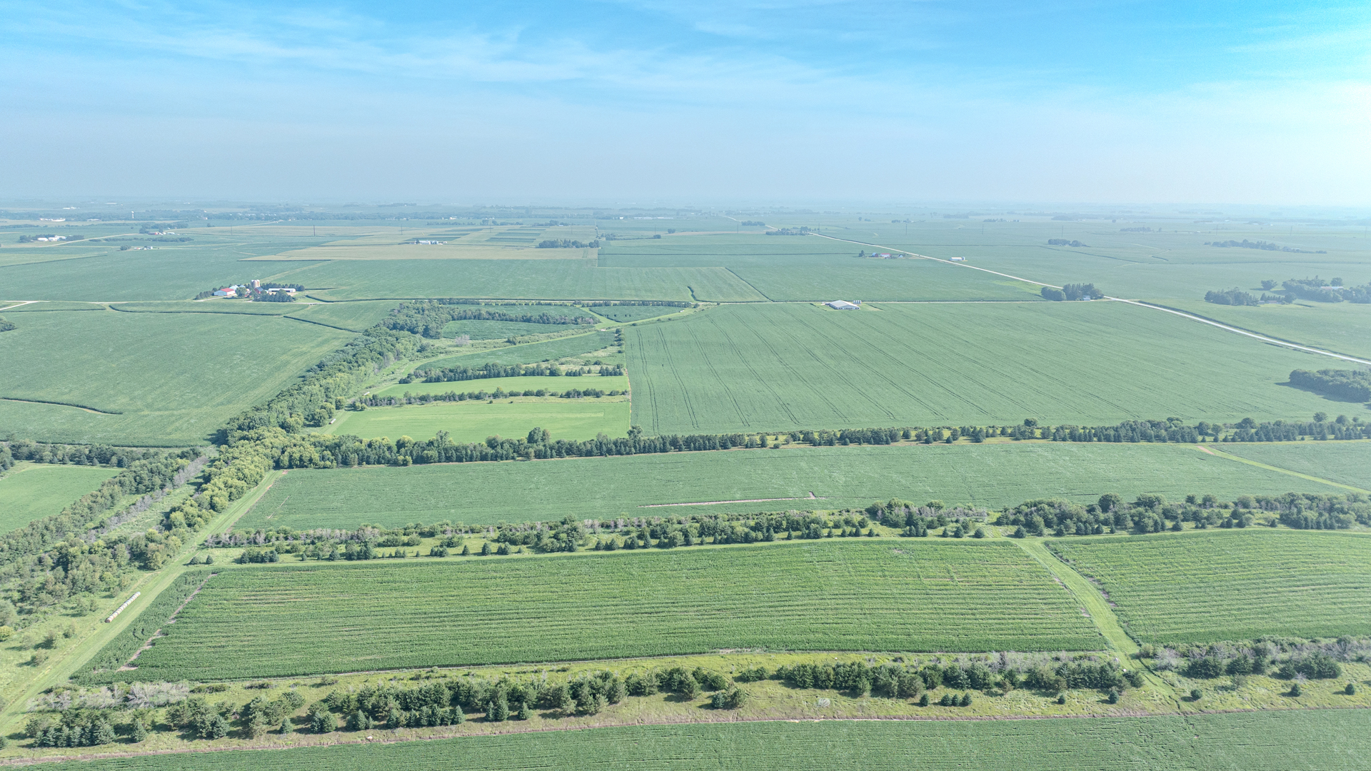 163 Acres of Farmland for Sale in Grundy County, Iowa 163 Acres of Farmland for Sale in Grundy County, Iowa