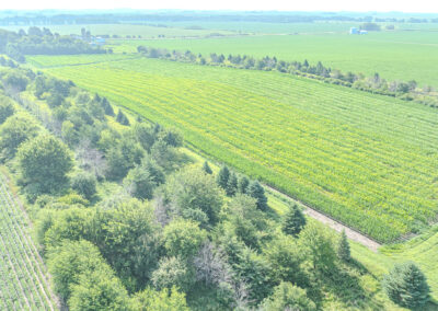 163 Acres of Farmland for Sale in Grundy County, Iowa