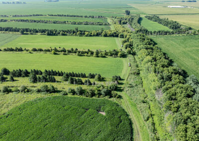 163 Acres of Farmland for Sale in Grundy County, Iowa