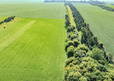 163 Acres of Farmland for Sale in Grundy County, Iowa