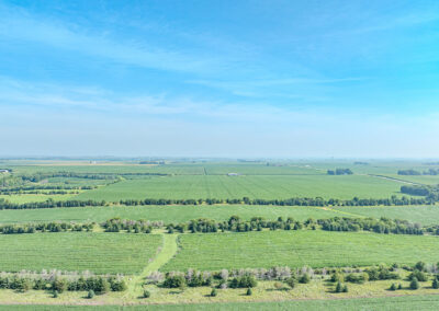 163 Acres of Farmland for Sale in Grundy County, Iowa