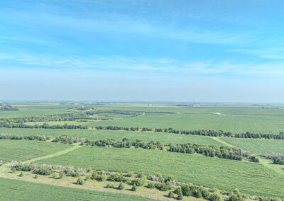 163 Acres of Farmland for Sale in Grundy County, Iowa