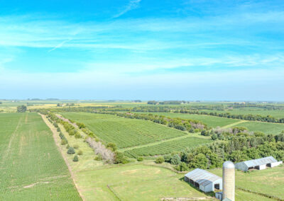 163 Acres of Farmland for Sale in Grundy County, Iowa