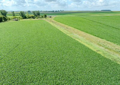 28 Tillable Acres in Tama County, Iowa