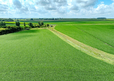 28 Tillable Acres in Tama County, Iowa
