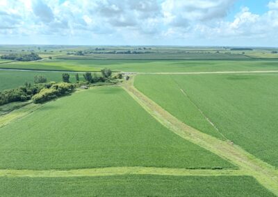 28 Tillable Acres in Tama County, Iowa