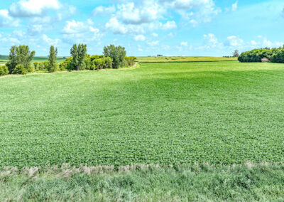 28 Tillable Acres in Tama County, Iowa