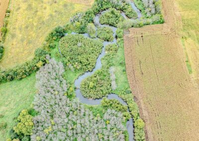 48 Acres of Land for Sale in Howard County, Iowa