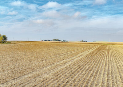 Sealed Bid Land Auction - 79 Acres Mitchell, County Iowa