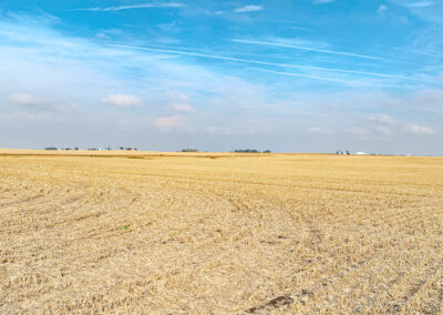 Sealed Bid Land Auction - 79 Acres Mitchell, County Iowa