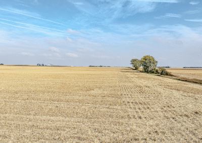 Sealed Bid Land Auction - 79 Acres Mitchell, County Iowa