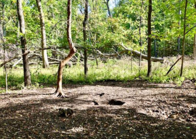 73 Acres of Hunting Land for Sale in Floyd County, Iowa