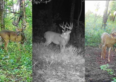 73 Acres of Hunting Land for Sale in Floyd County, Iowa