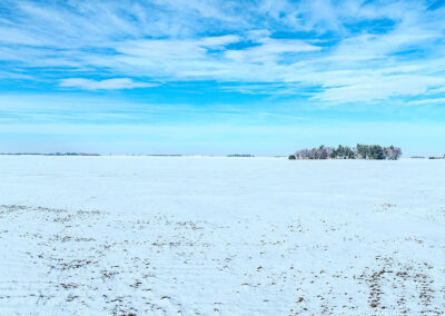 Sealed Bid Land Auction - 151 Acres Mitchell, County Iowa