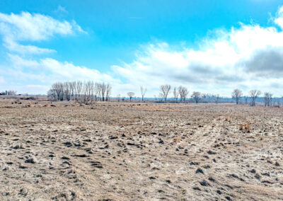 Land and Buildable Lot for sale in Butler County, Iowa - 15876 Hwy 3