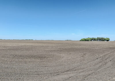 151 Acres of Land for Sale in Mitchell County, Iowa
