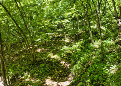 949 Lansing Harpers Road Iowa Land for Sale