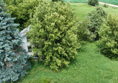 26929 300th St. Parkersburg, Iowa Land for Sale