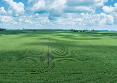 78 Acres Mitchell County Osage Iowa Land Auction August 2026