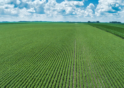78 Acres Mitchell County Osage Iowa Land Auction August 2026